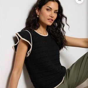 Evereve Claire Pullover